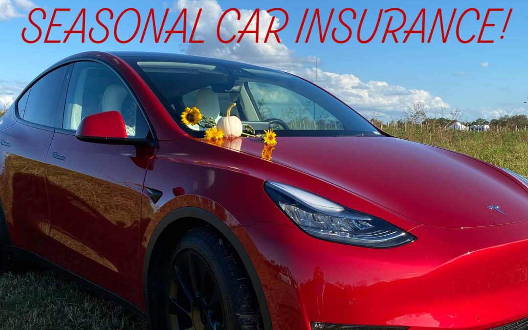 Seasonal Car Insurance in Cape Coral