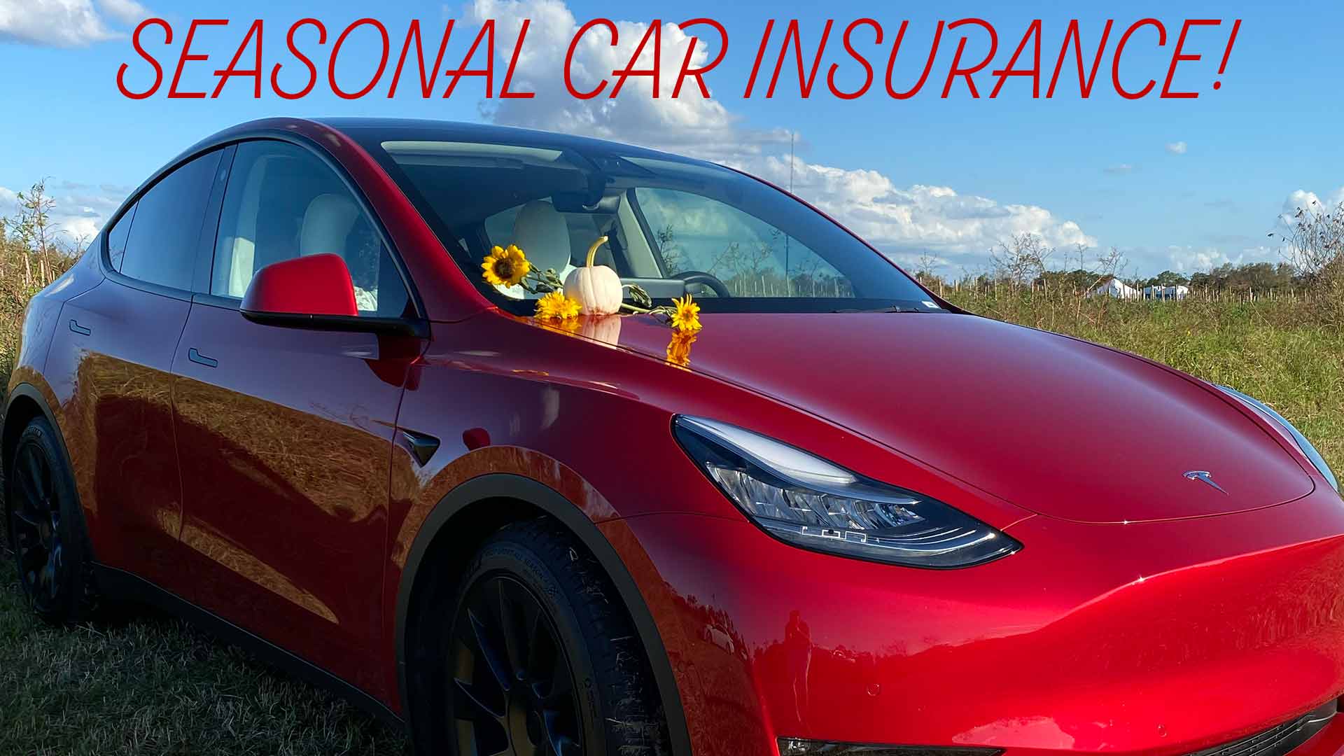 Seasonal Car Insurance